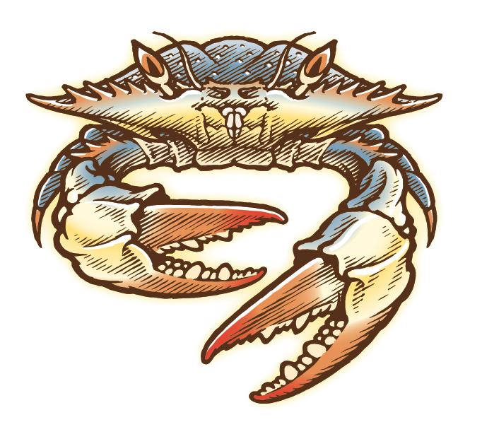 vector art illustration of a crab for packaging