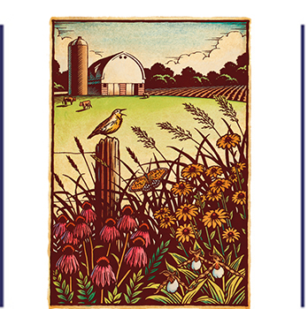 Classic style pen and ink and watercolor illustration of a farm field