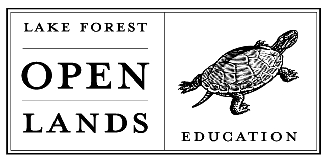 Woodcut style illustration of a turtle