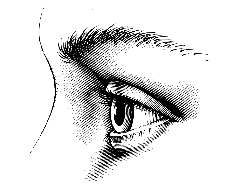 Pen and ink illustration of an eye from the side
