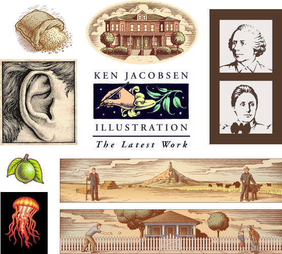 illustration portfolio examples