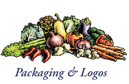 Packaging and Logos; Woodcut style vegetable illustration, pen and ink with watercolor