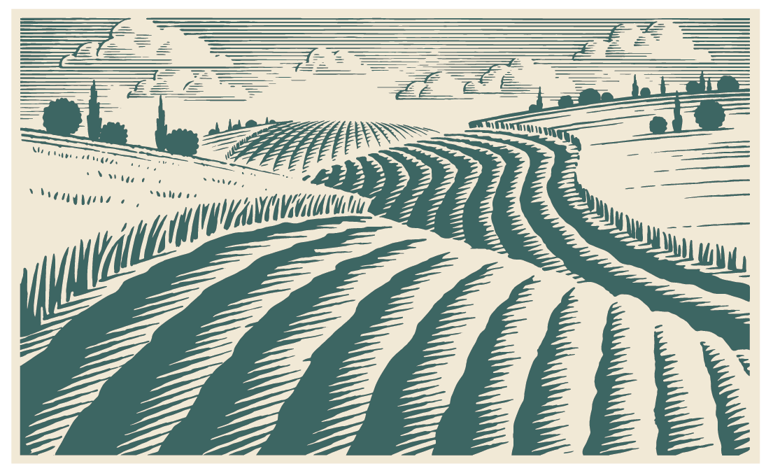 Woodcut style farm field illustration for packaging