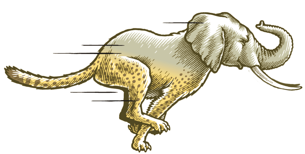 Cheetah Elephant cross illustration